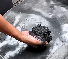 Removing the metal-containing sludge