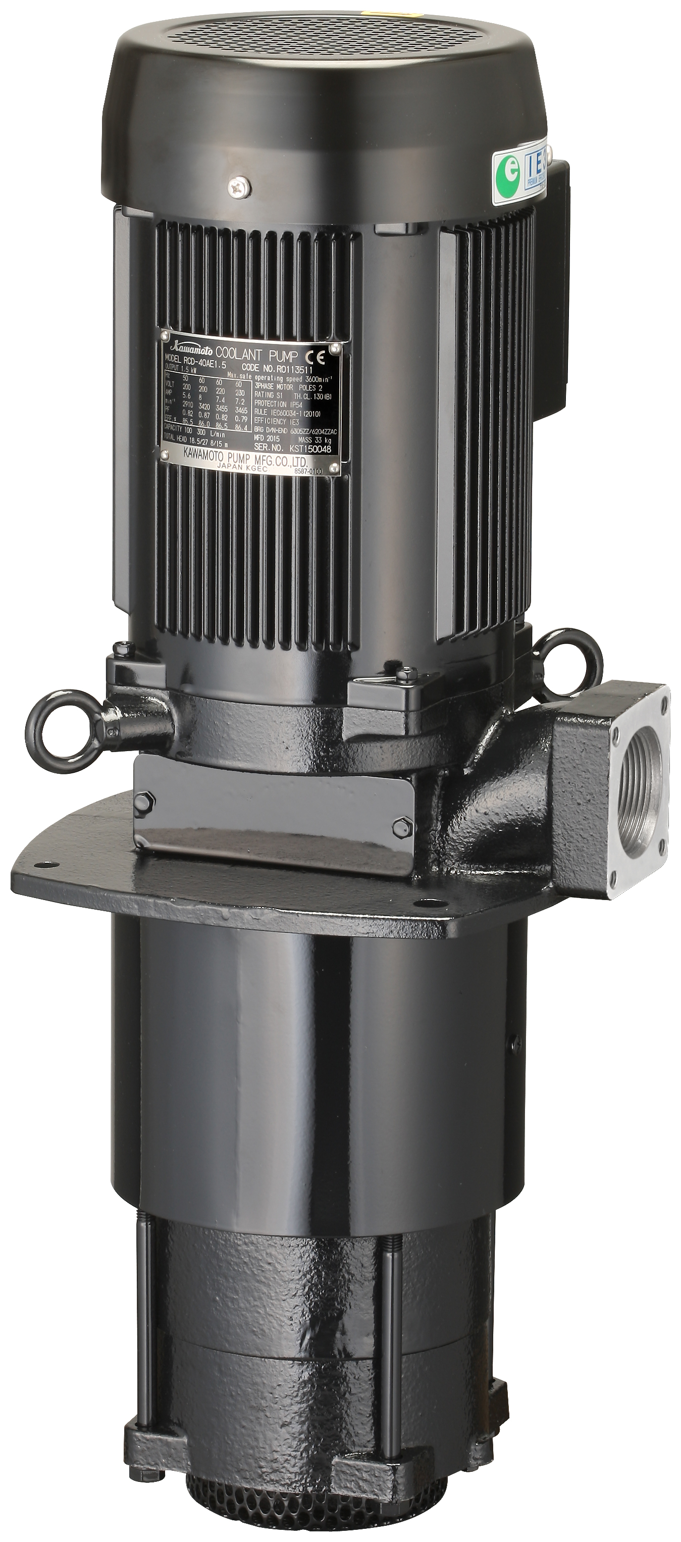 Kawamoto pump