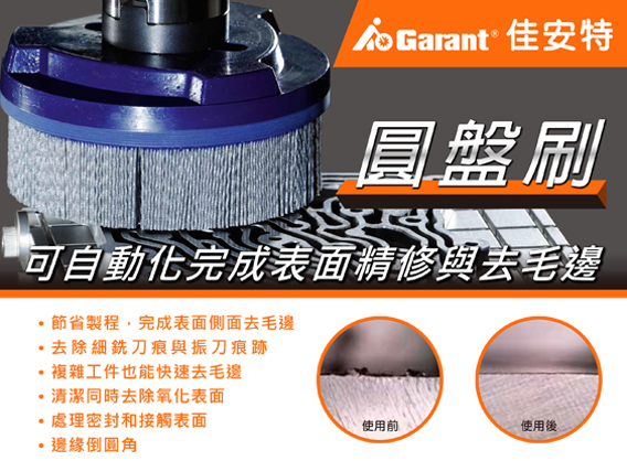 Garant Brush Disc