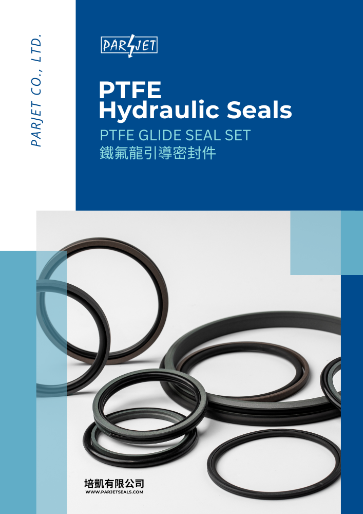 
                                PTFE Glide seal sets
                            