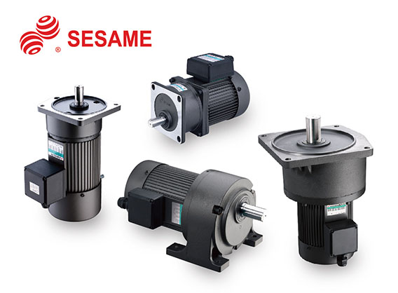 
                                AC Gear Motors
                            