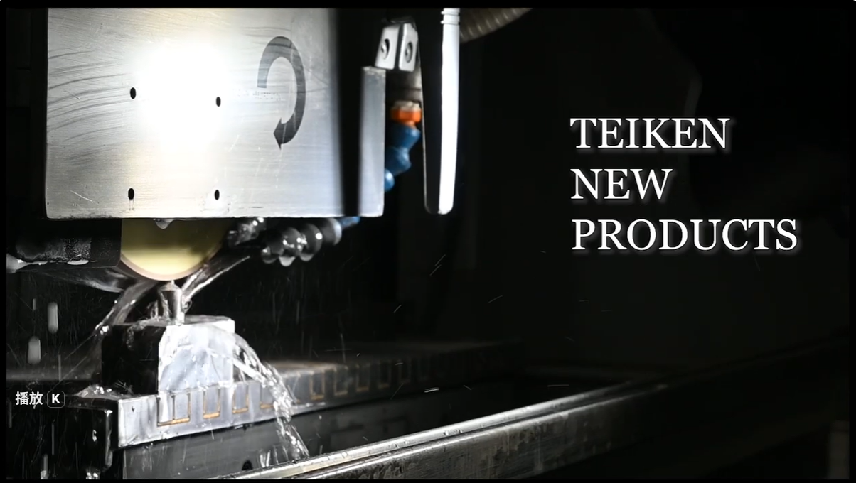 JAPAN TEIKEN NEW PRODUCTS