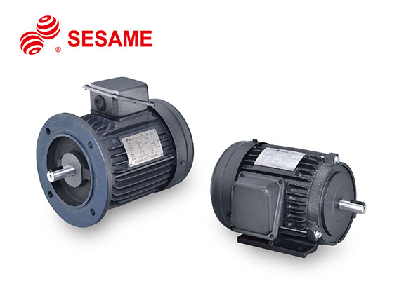 SESAME Premium Efficiency Motors